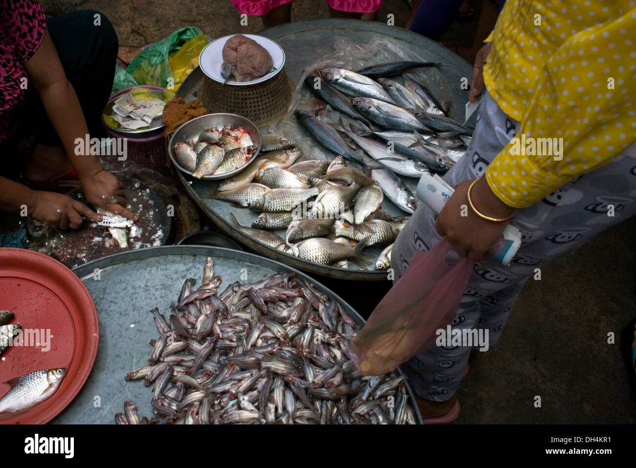 Fish food stores near me online