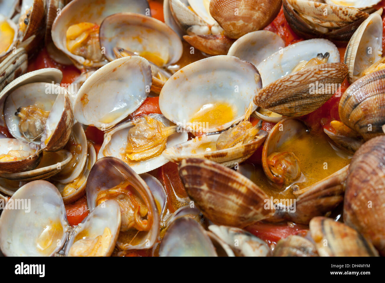 Clams in marinara sauce with tomatoes and oil Stock Photo