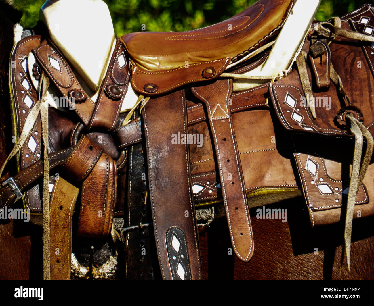 Horse Saddle, Mexico Stock Photo - Alamy