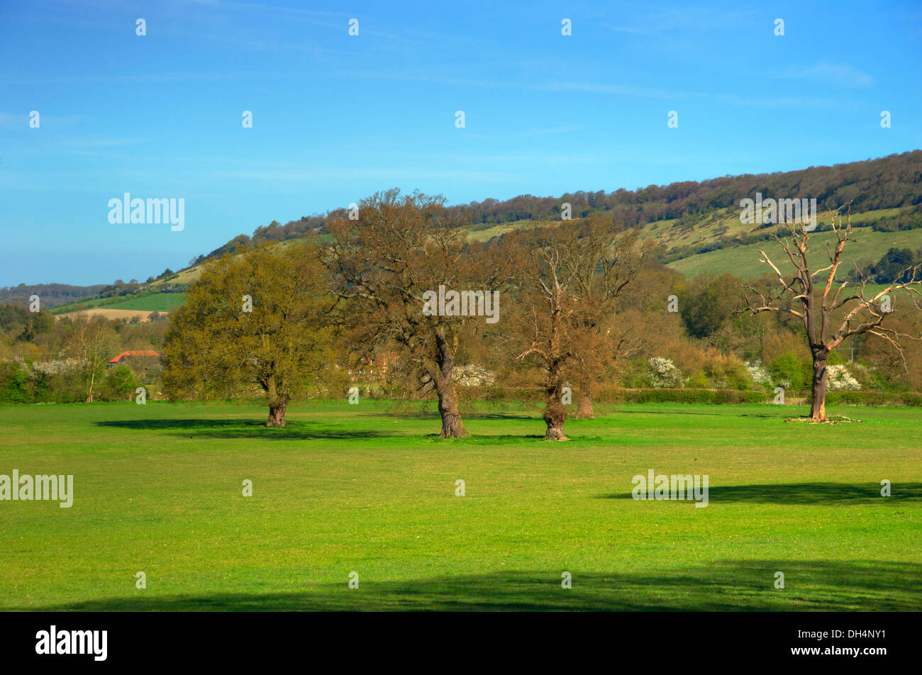 Surrey Hills, Box Hill sunsets Stock Photo