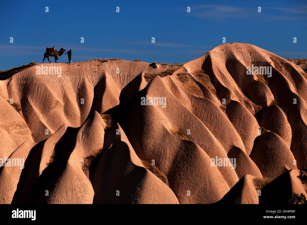 Cappadocia formations and the camel Stock Photo