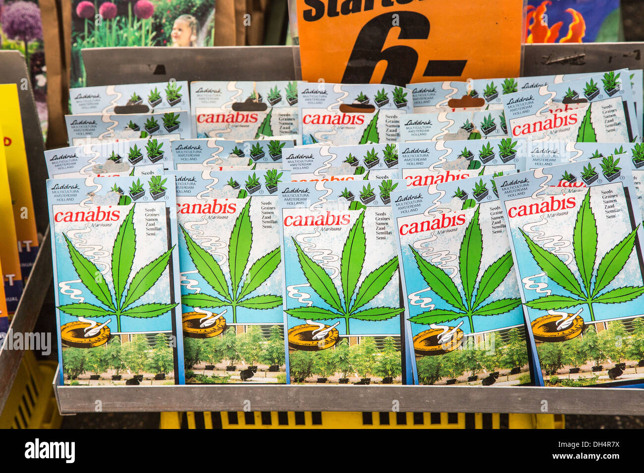 Packets of cannabis seeds for sale as tourist souvenirs at Stock Photo