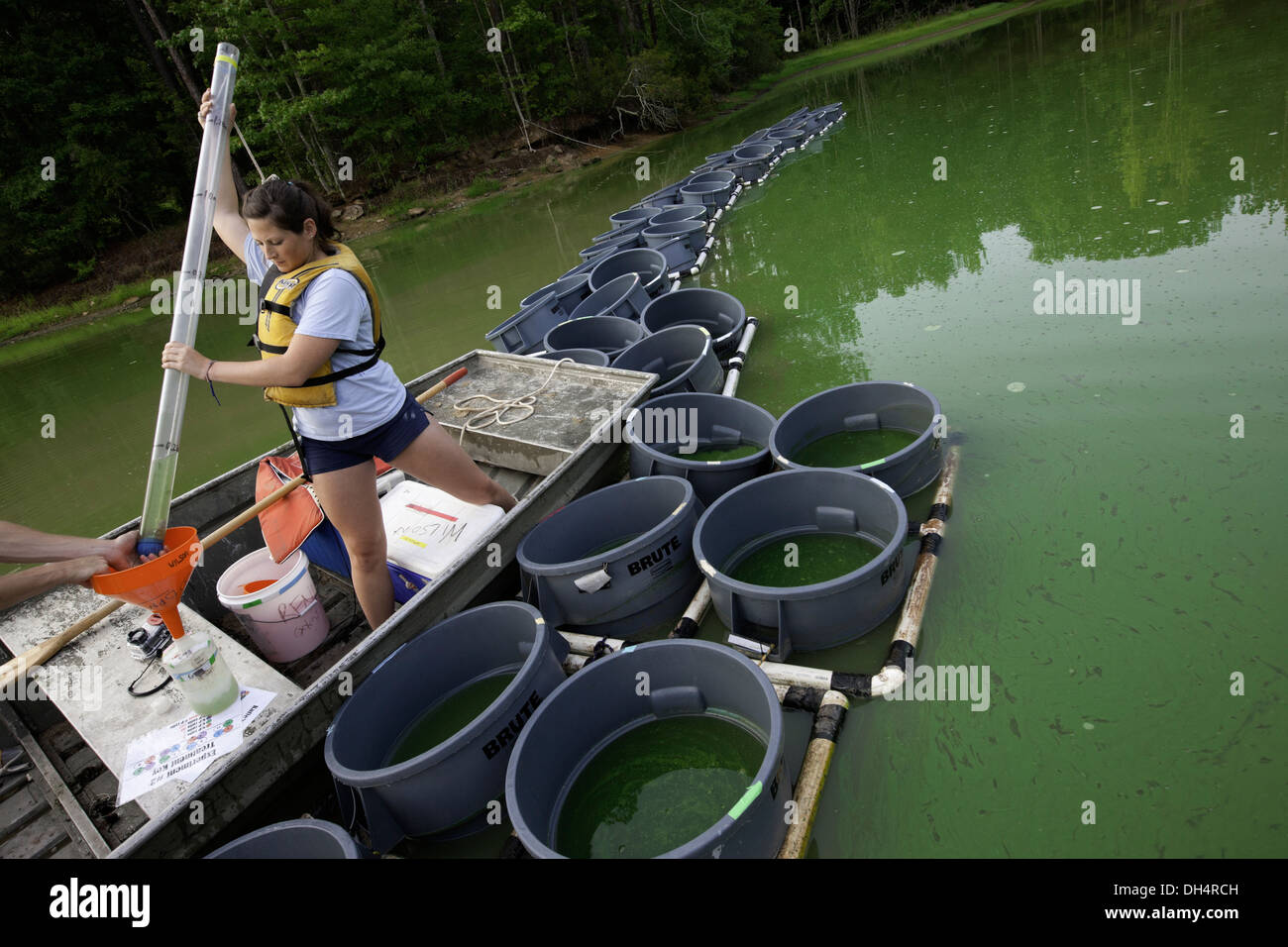 Students taking water samples at S-10 Auburn Fisheries pond, Auburn, Alabama. They are students of Alan Wilson and studying Stock Photo