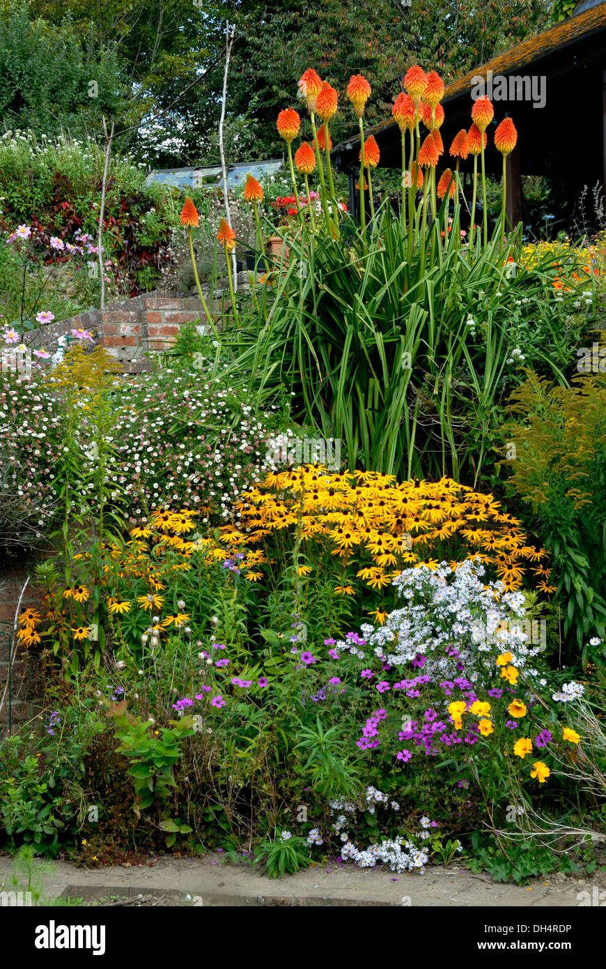 A beautiful display of cottage garden flowers UK Stock Photo Alamy