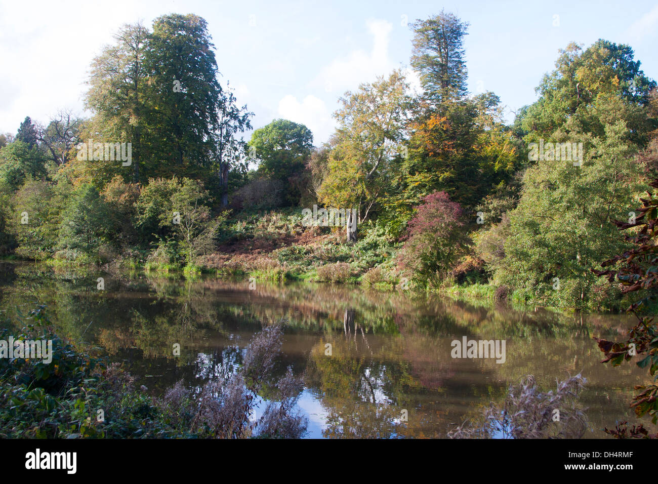 Lake at Calke Abbey Derbyshire UK Stock Photo Alamy