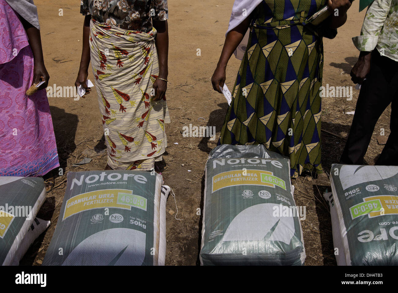 Small farmers using vouchers to purchase fertilizer at a subsidized rate at a distribution center in Bali, Nigeria. Stock Photo