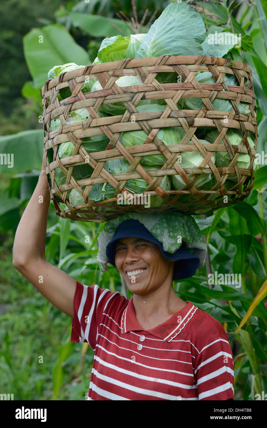 Woman carrying cabbages on her head hires stock photography and images