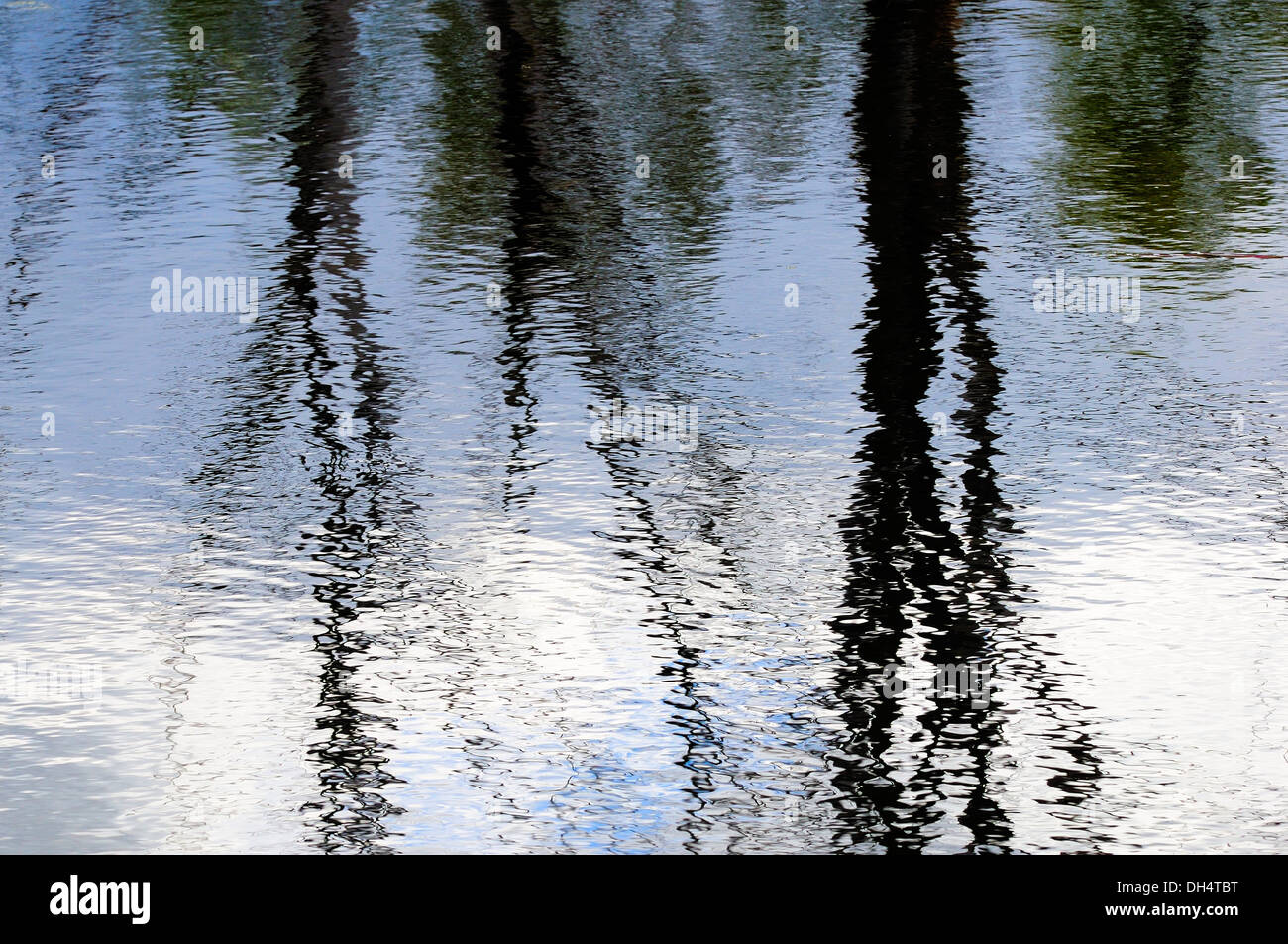 Reflections of sky and trees hi-res stock photography and images - Alamy