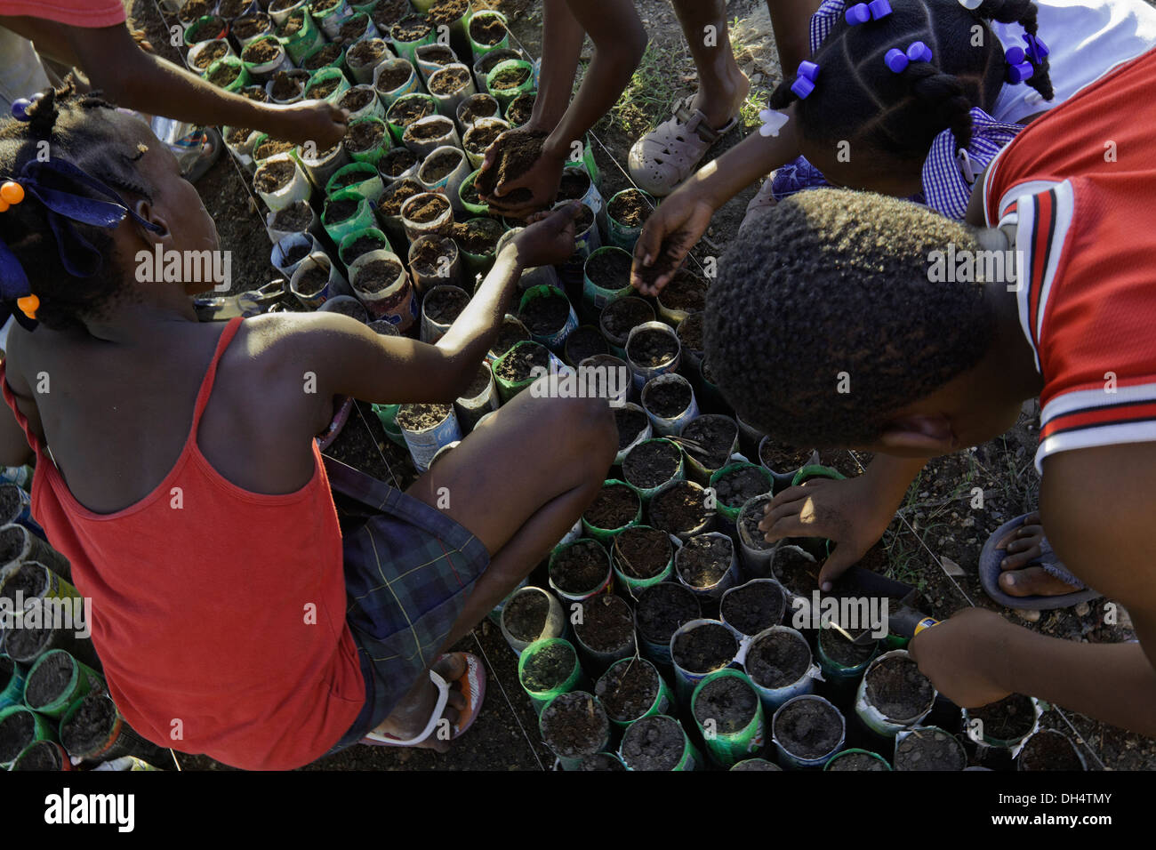 Children from Pax Christi spread compost provided by S.O.I.L. in their garden in Port-au-Prince, Haiti. Stock Photo