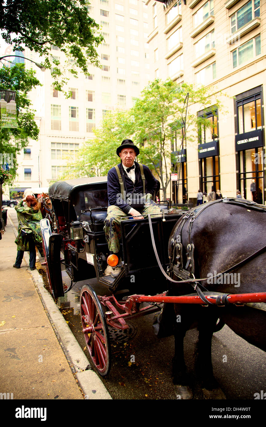 Chicago Horse & Carriage Stock Photo Alamy