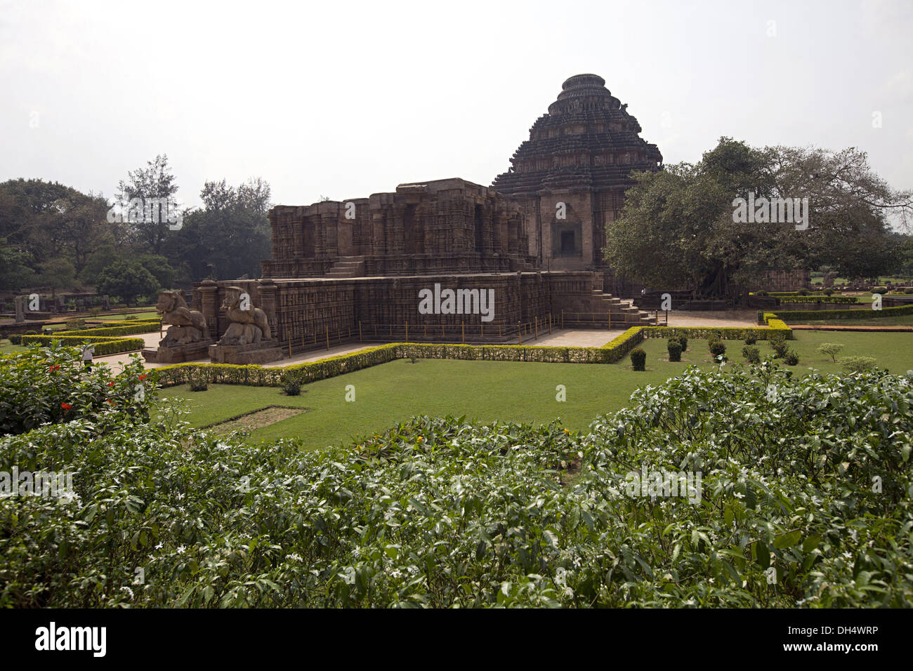Konark Sun Temple long shot , Orissa India. UNESCO world heritage site Stock Photo