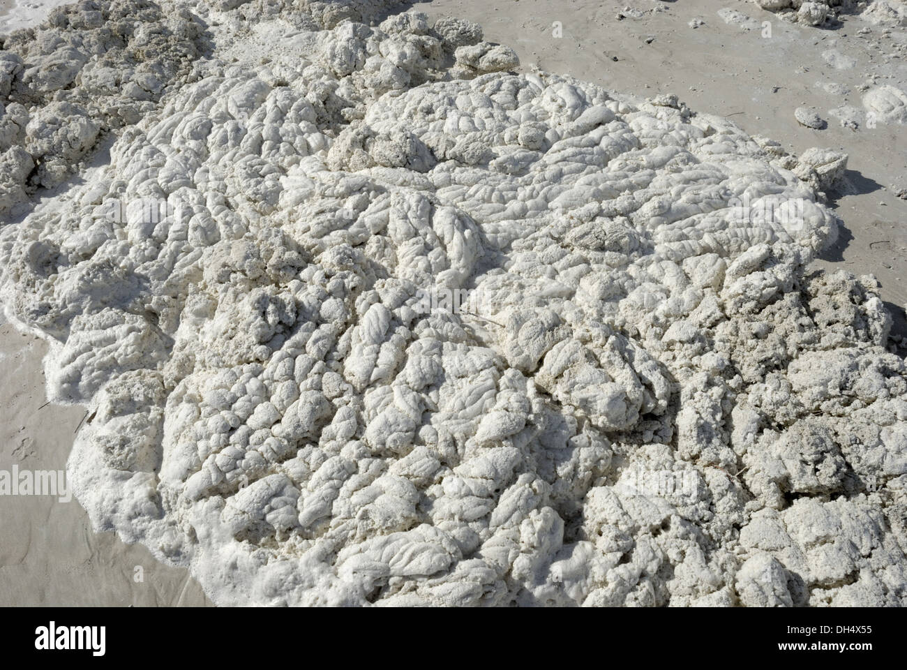White Foam on Alcudia Beach Stock Photo