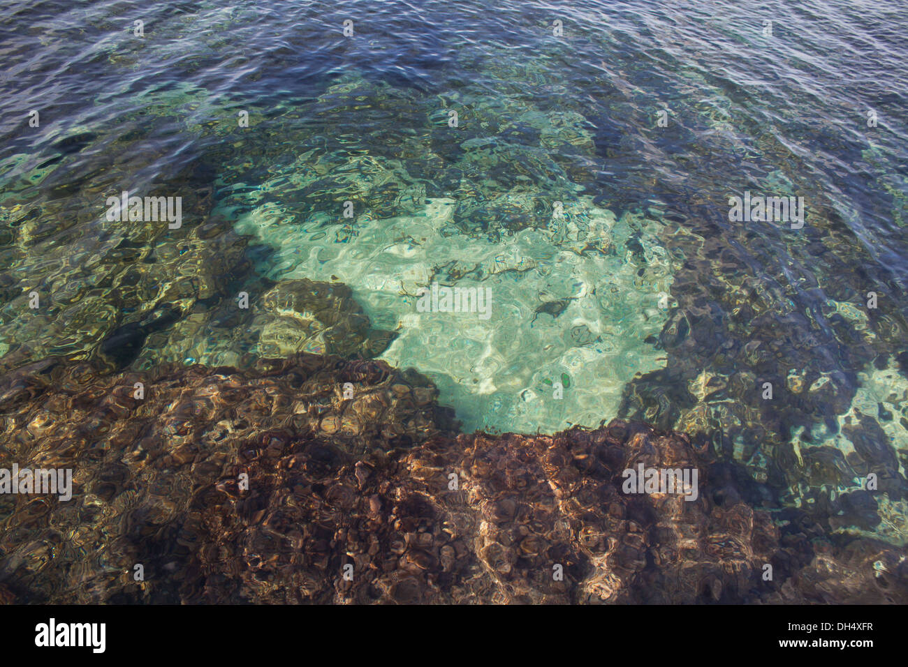 transparent, sea, water, green, brown, close-up, background Stock Photo