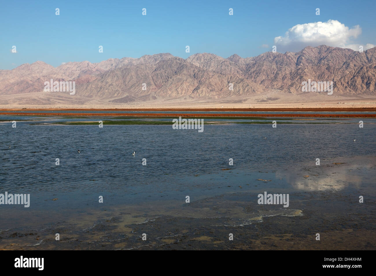 Superficial reservoir in desert Stock Photo