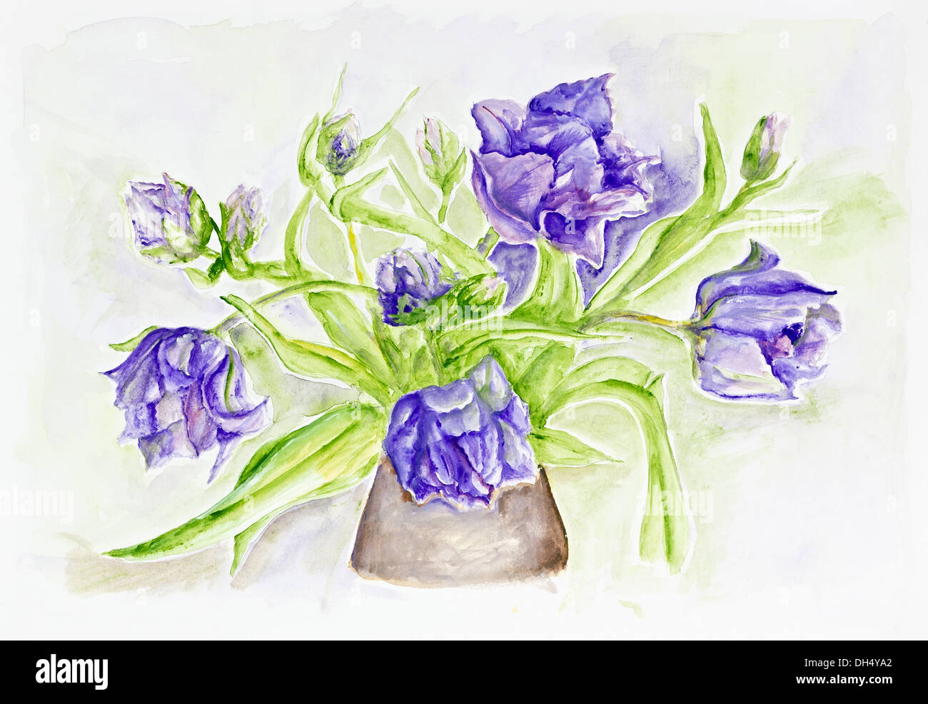 Rare blue tulips Stock Photo Alamy