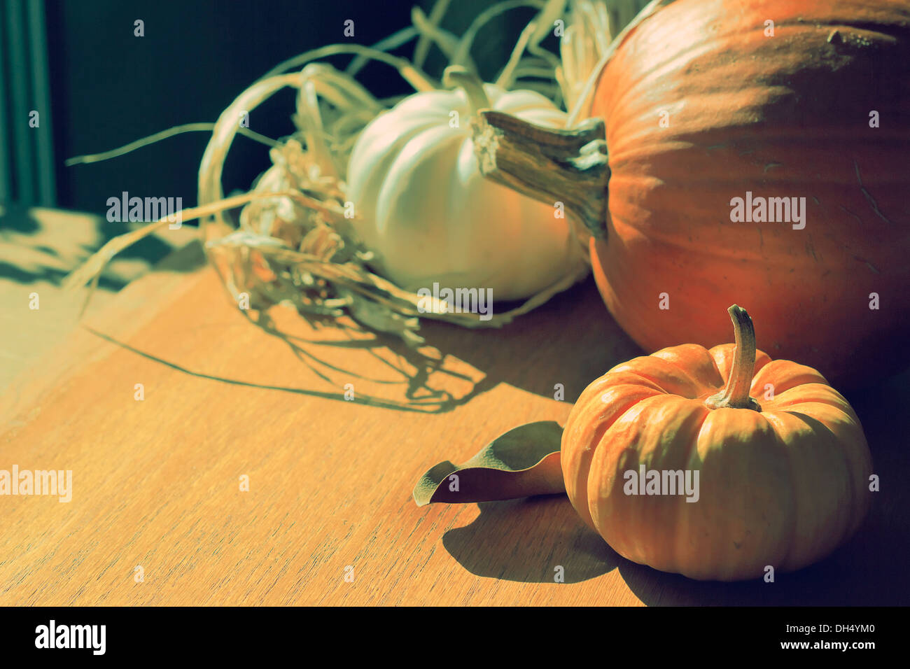 Thanksgiving Background with Pumpkins. Retro card Stock Photo - Alamy