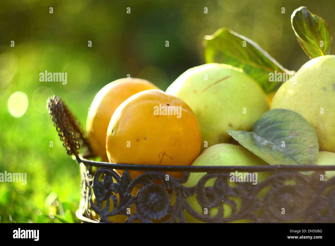 natural fruits in basket with leaf in garden Stock Photo - Alamy