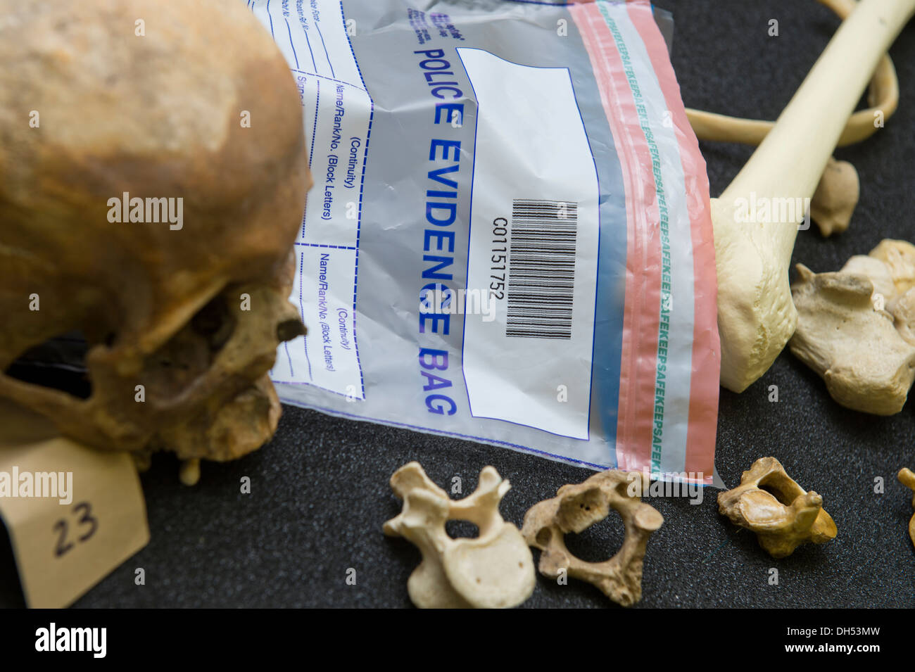 https://c8.alamy.com/comp/DH53MW/human-and-animal-remains-laboratory-exhibits-with-a-police-evidence-DH53MW.jpg