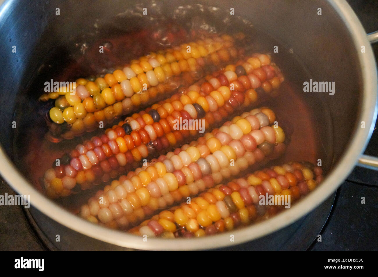 Boil Indian corn Stock Photo