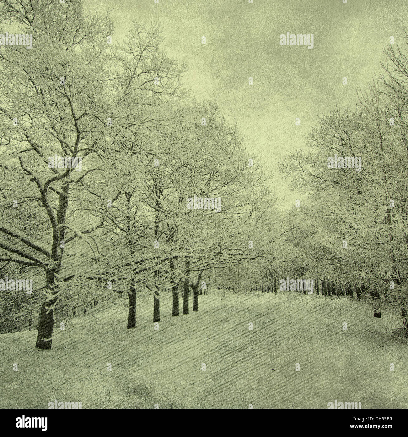grunge image of winter landscape Stock Photo - Alamy