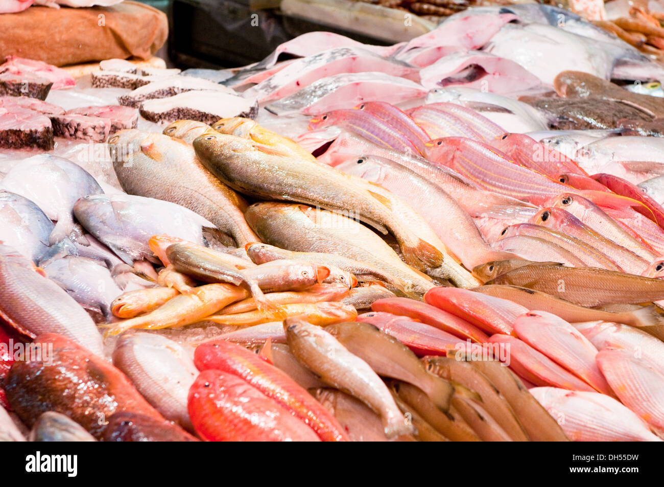fresh fish at a fish market Stock Photo Alamy