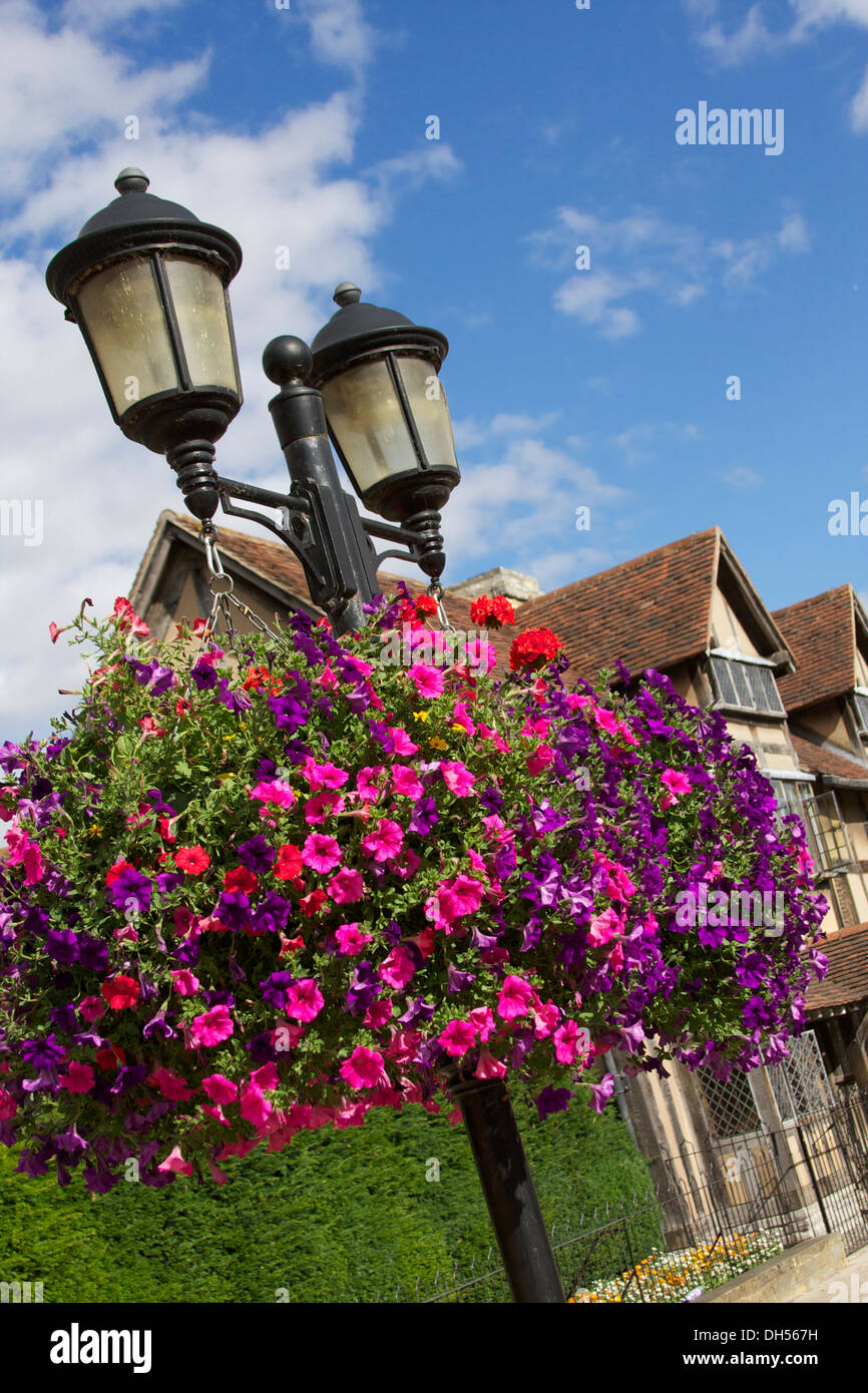 Floral displays in full bloom hanging from street lamp. Stock Photo