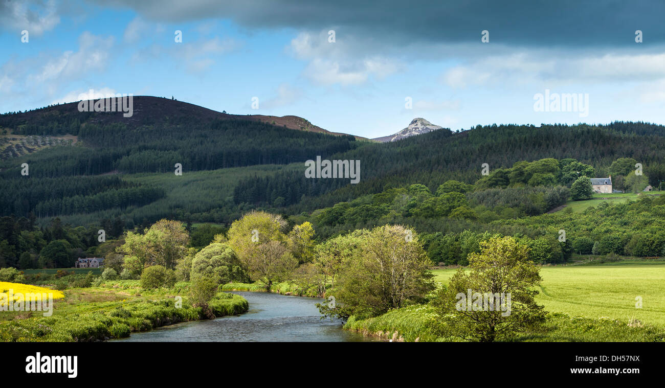 View over Lords Throat to Bennachie near Monymusk In Aberdeenshire in ...