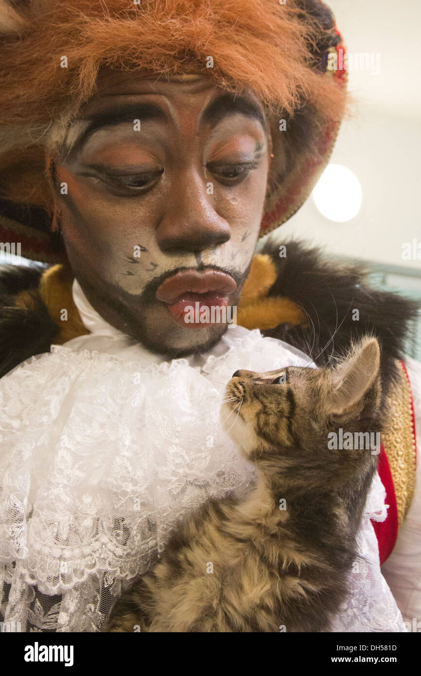 Puss in Boots panto character plays with kittens at the cattery of the Battersea Dogs & Cats Home, Xmas panto at Hackney Empire Stock Photo