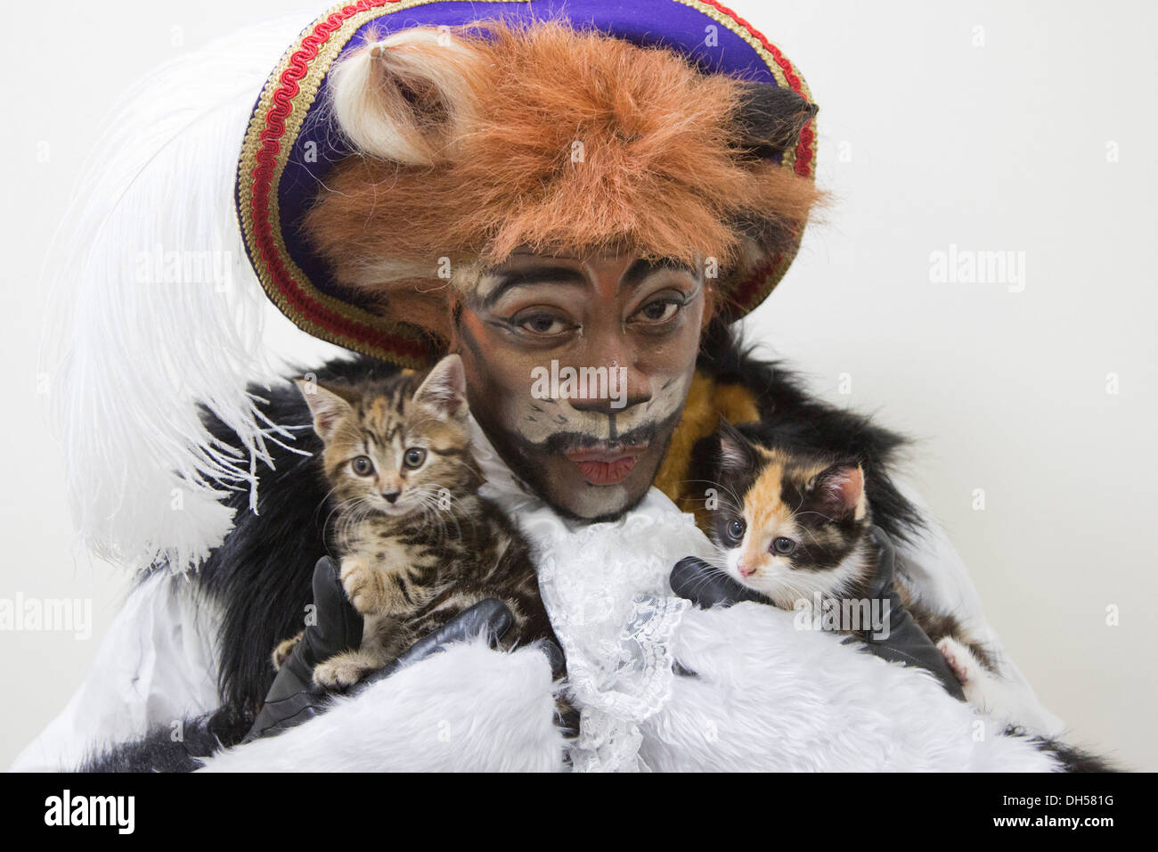 Puss in Boots panto character plays with kittens at the cattery of the Battersea Dogs & Cats Home, Xmas panto at Hackney Empire Stock Photo