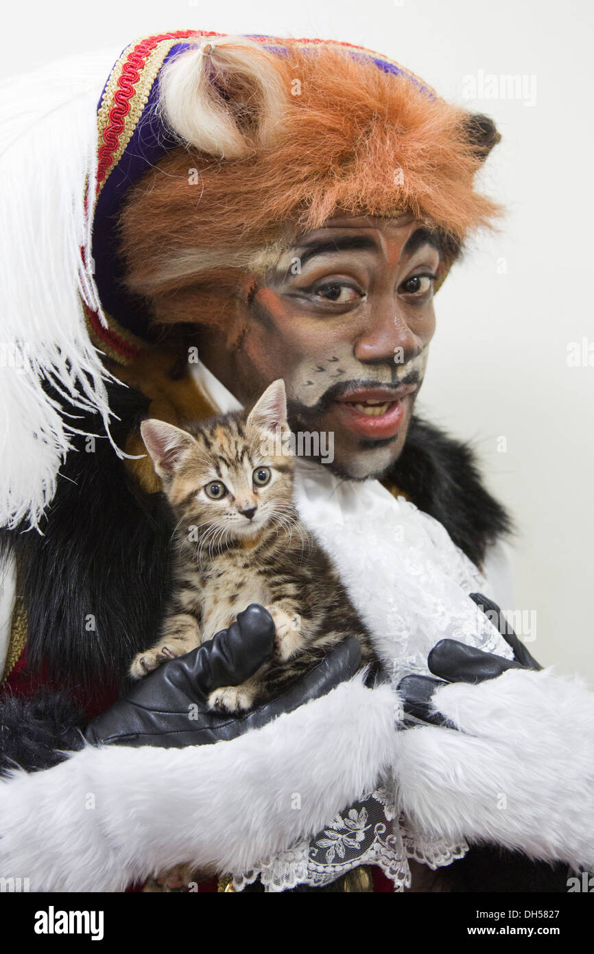 Puss in Boots panto character plays with kittens at the cattery of the Battersea Dogs & Cats Home, Xmas panto at Hackney Empire Stock Photo