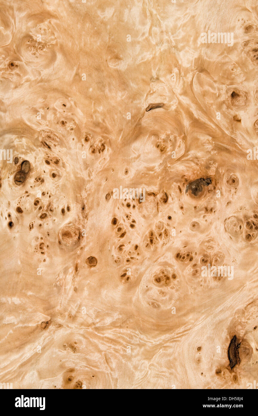 Burl wood hi-res stock photography and images - Alamy