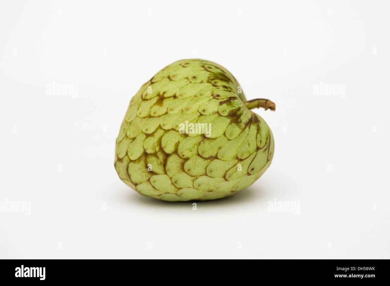 Cherimoya. A single custard apple on a white background. Stock Photo