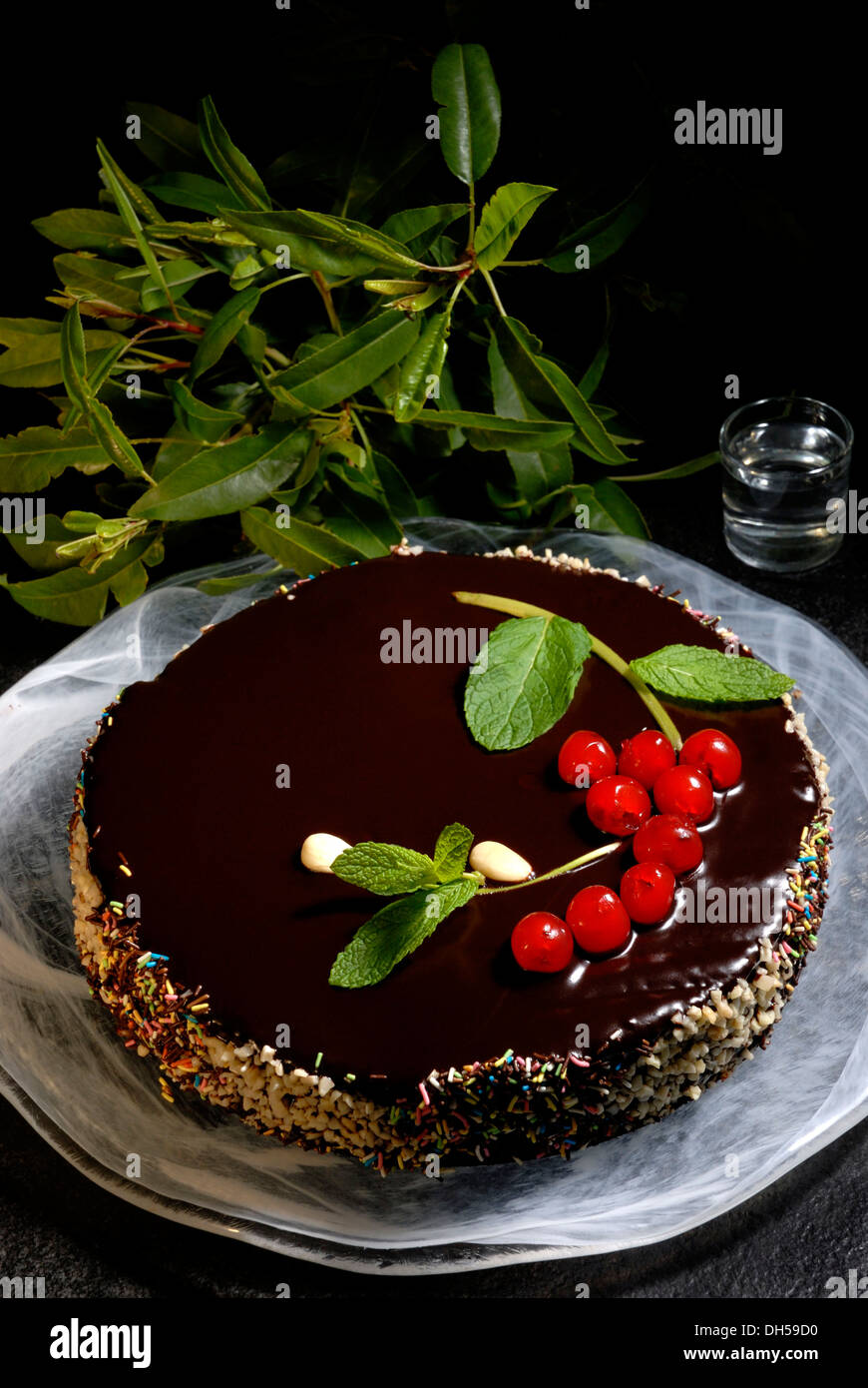 Whole frosted chocolate layer cake hi-res stock photography and images ...