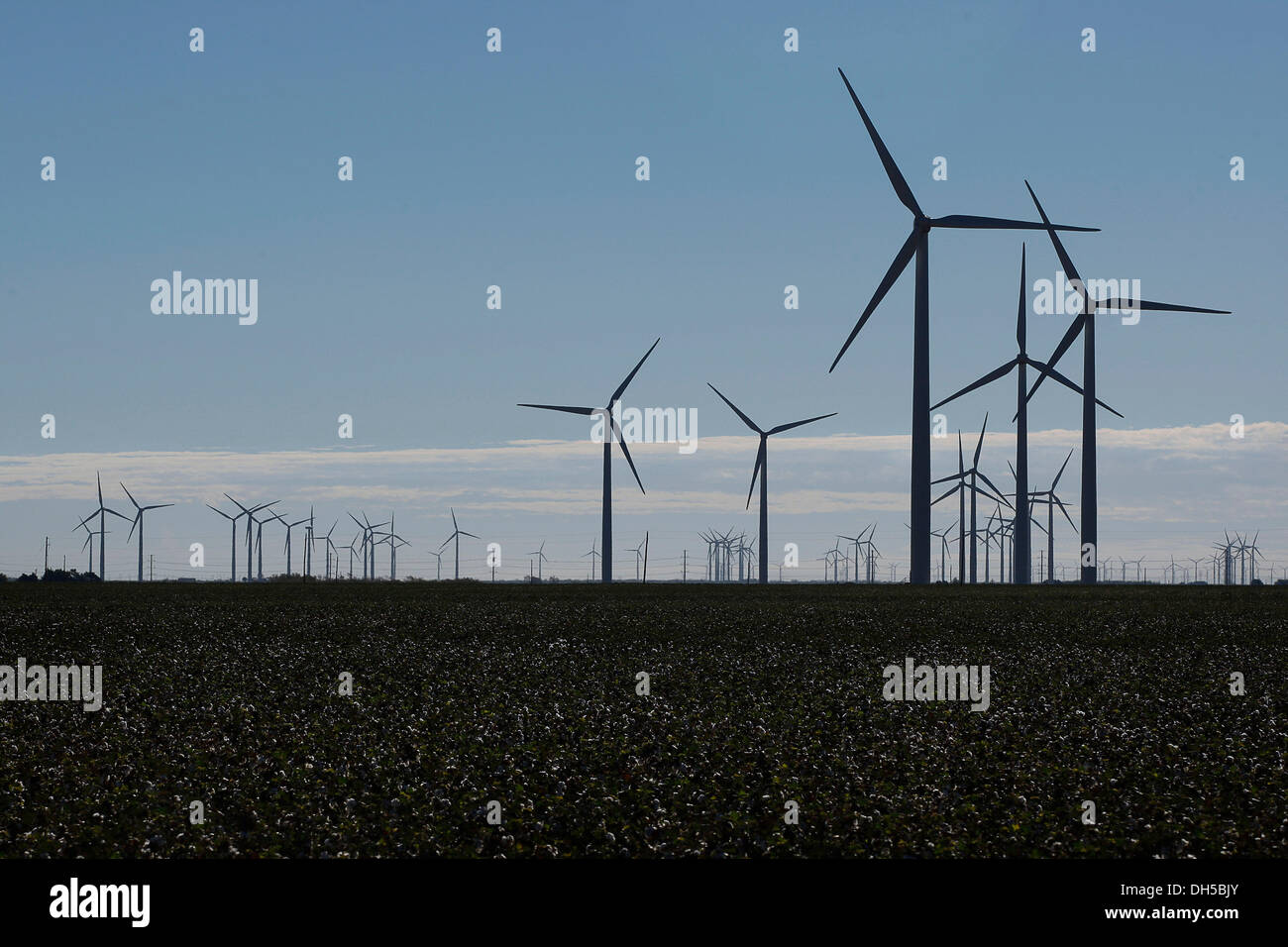 Limiting factor hires stock photography and images Alamy