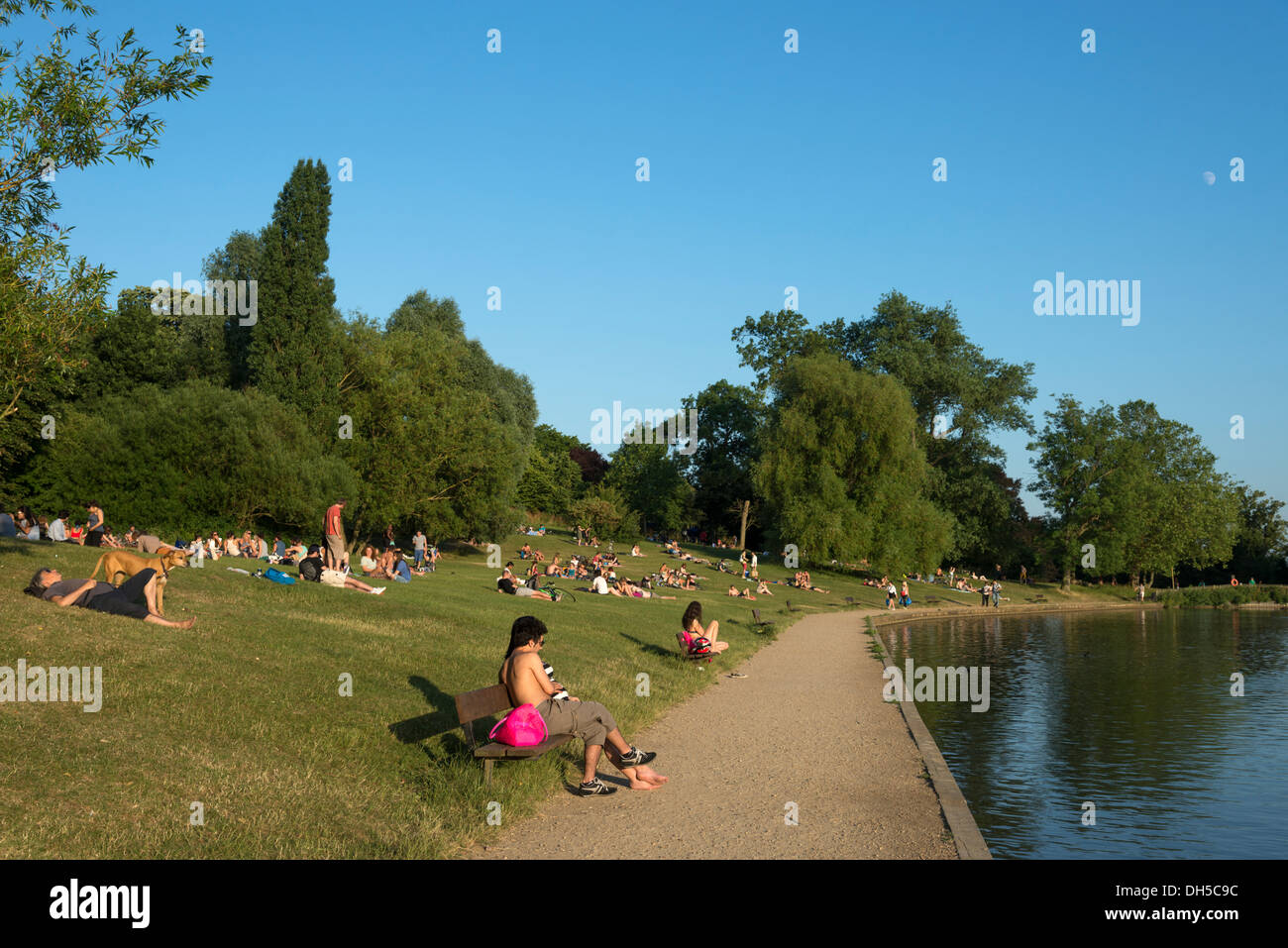 People relaxing beside the Highgate Ponds in Hampstead Heath, London, England, UK Stock Photo