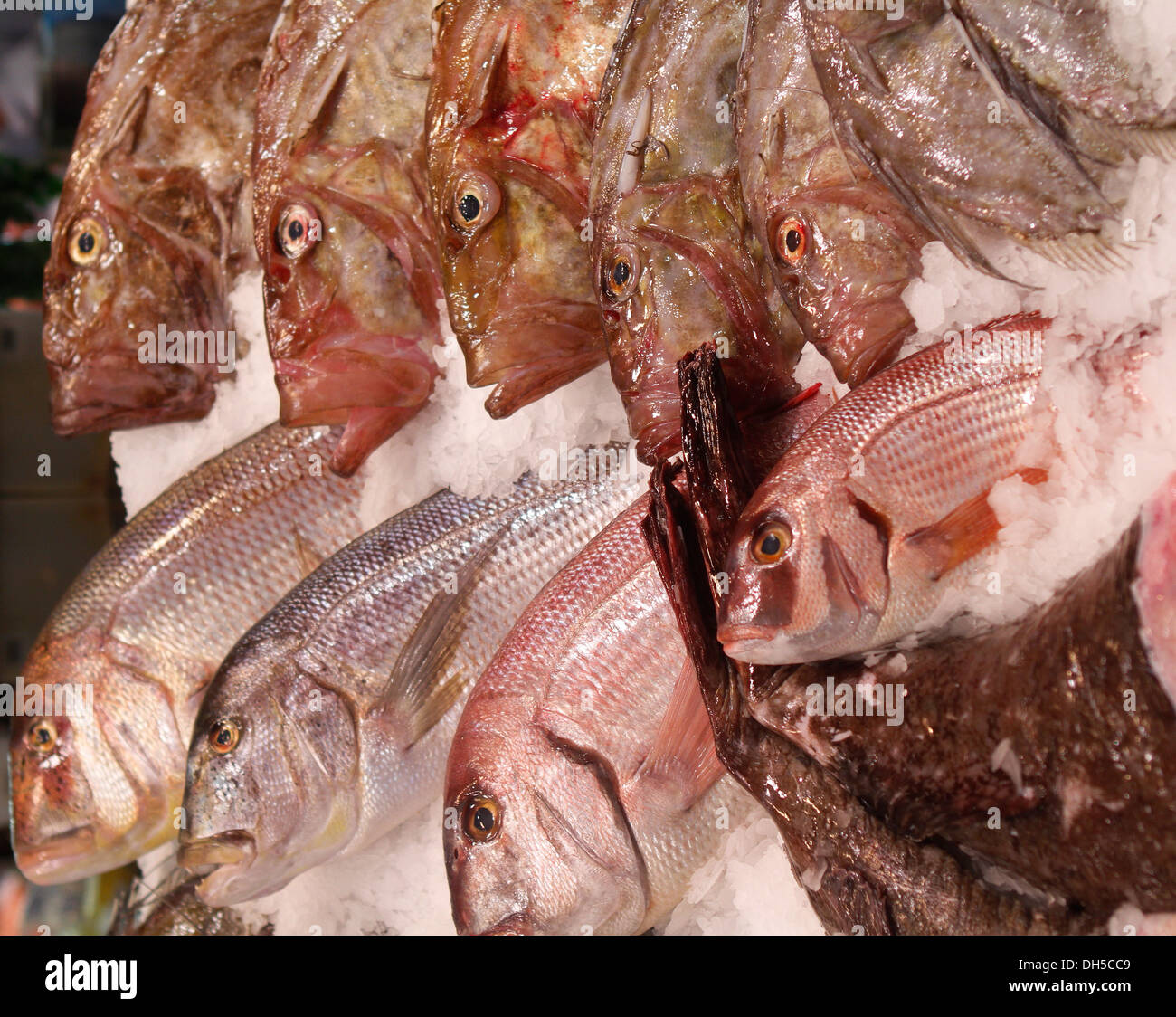 Marine Deities High Resolution Stock Photography and Images - Alamy