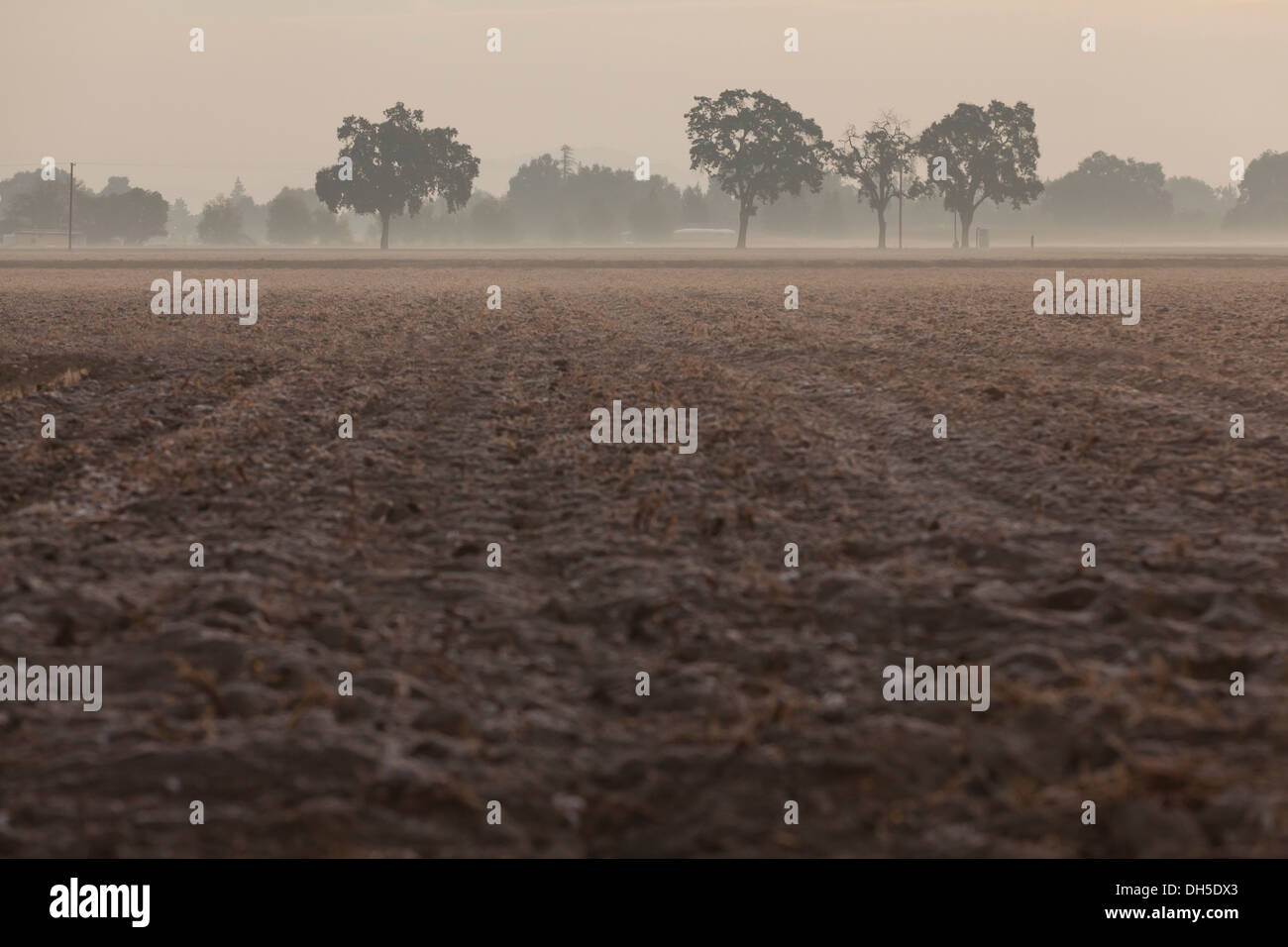 Morning fog on newly tilled farmland - California, USA Stock Photo