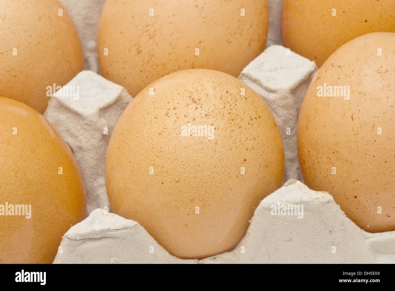 Brown eggs in a carton package closeup Stock Photo