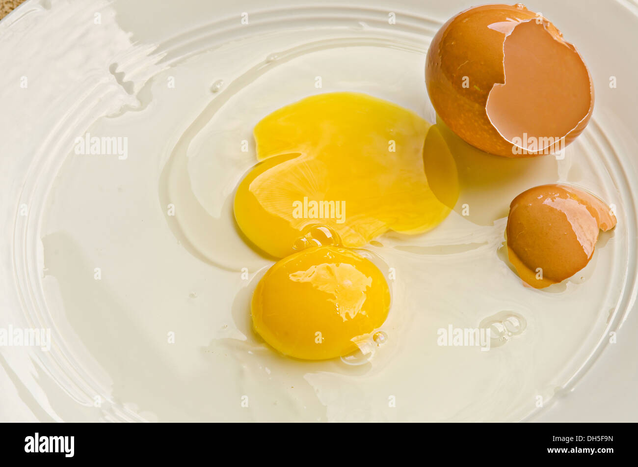 Raw egg yolk and egg white with the cracked open egg shell Stock Photo