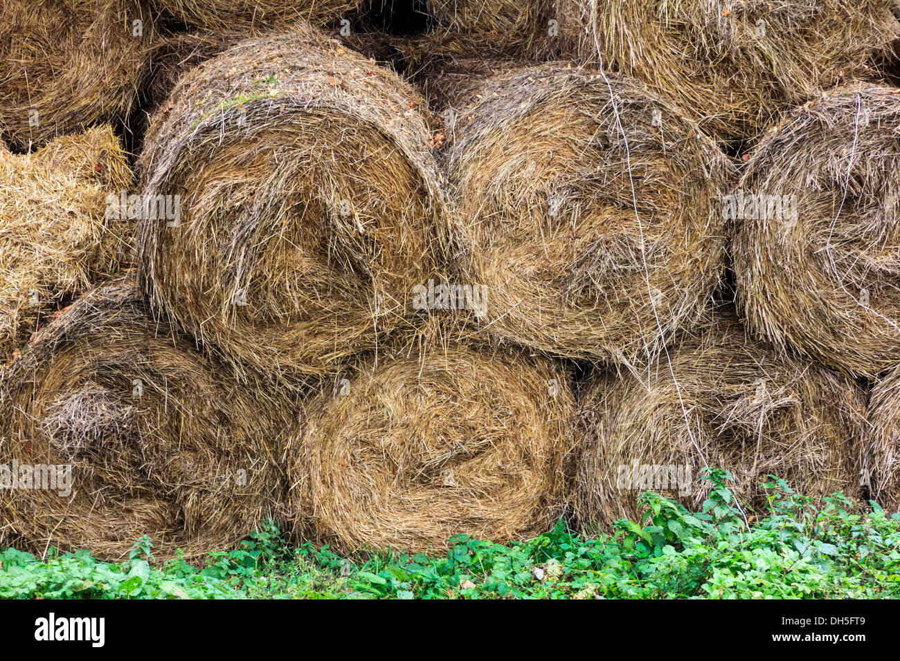 Bales of hay piled one upon another in a barn Stock Photo Alamy