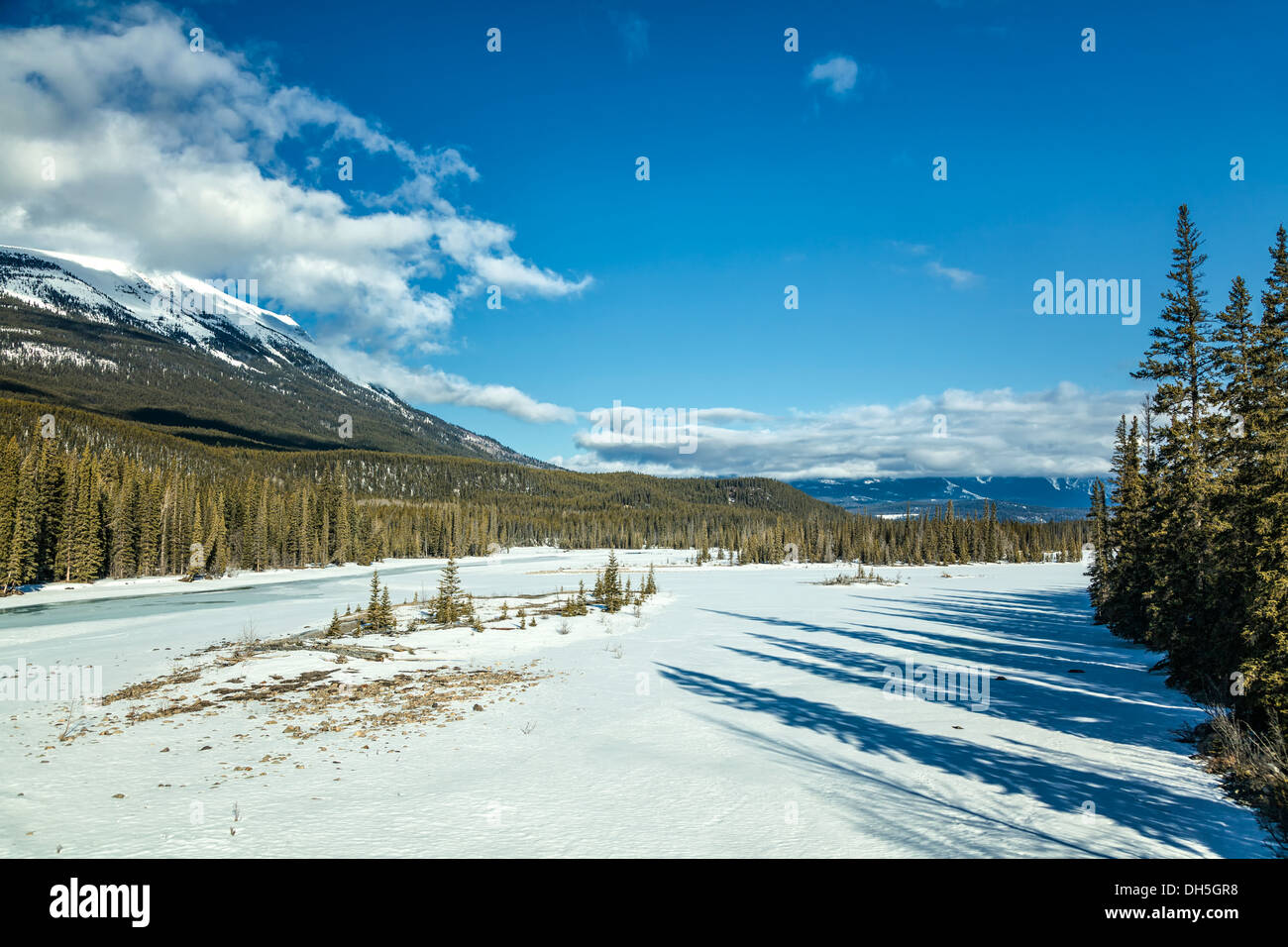 Water frozen conifer forest hi-res stock photography and images - Alamy