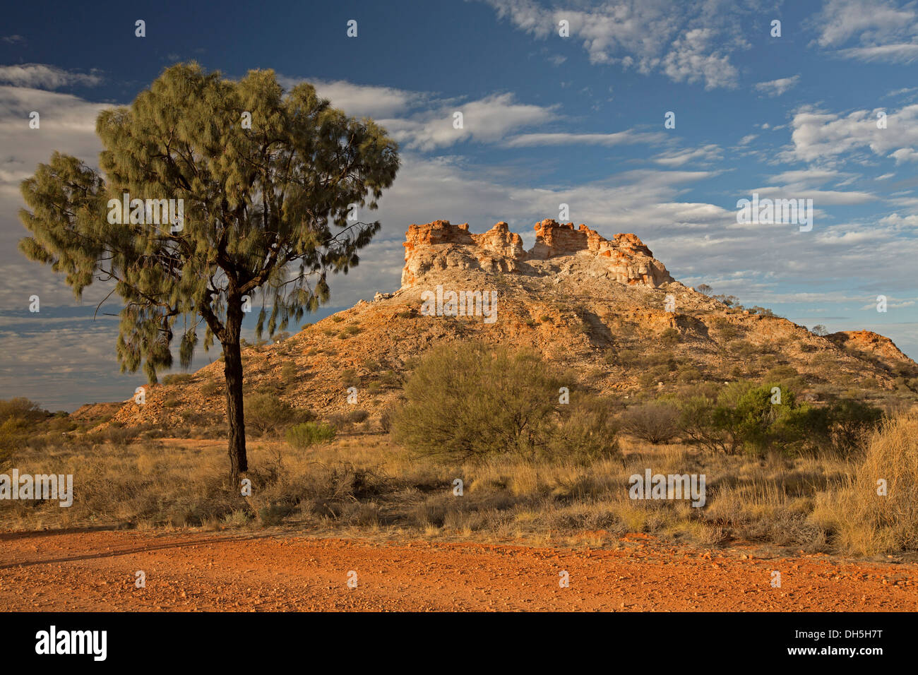 Australian outback landscape dominated by huge sandstone formation Castle Rock and desert oak tree in Chamber's Pillar reserve Northern Territory Stock Photo