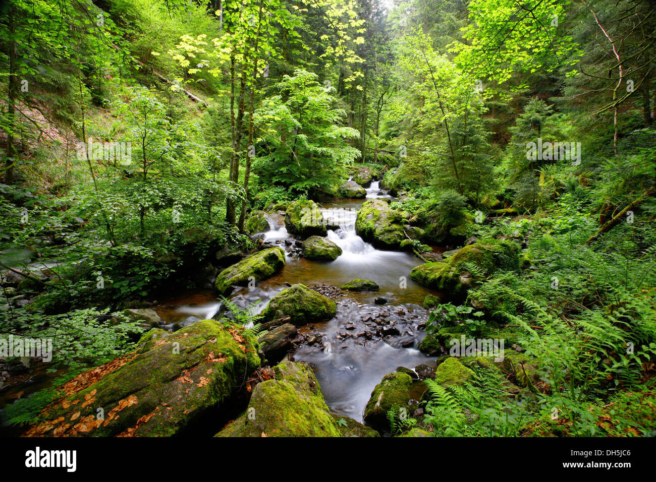 Ravenna Gorge High Resolution Stock Photography and Images - Alamy
