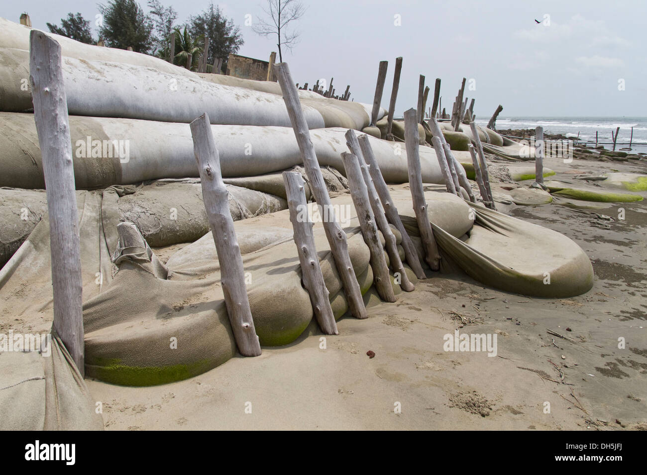 Sandbags, temporary coastal protection, Cox's Bazar, Bangladesh, South Asia Stock Photo