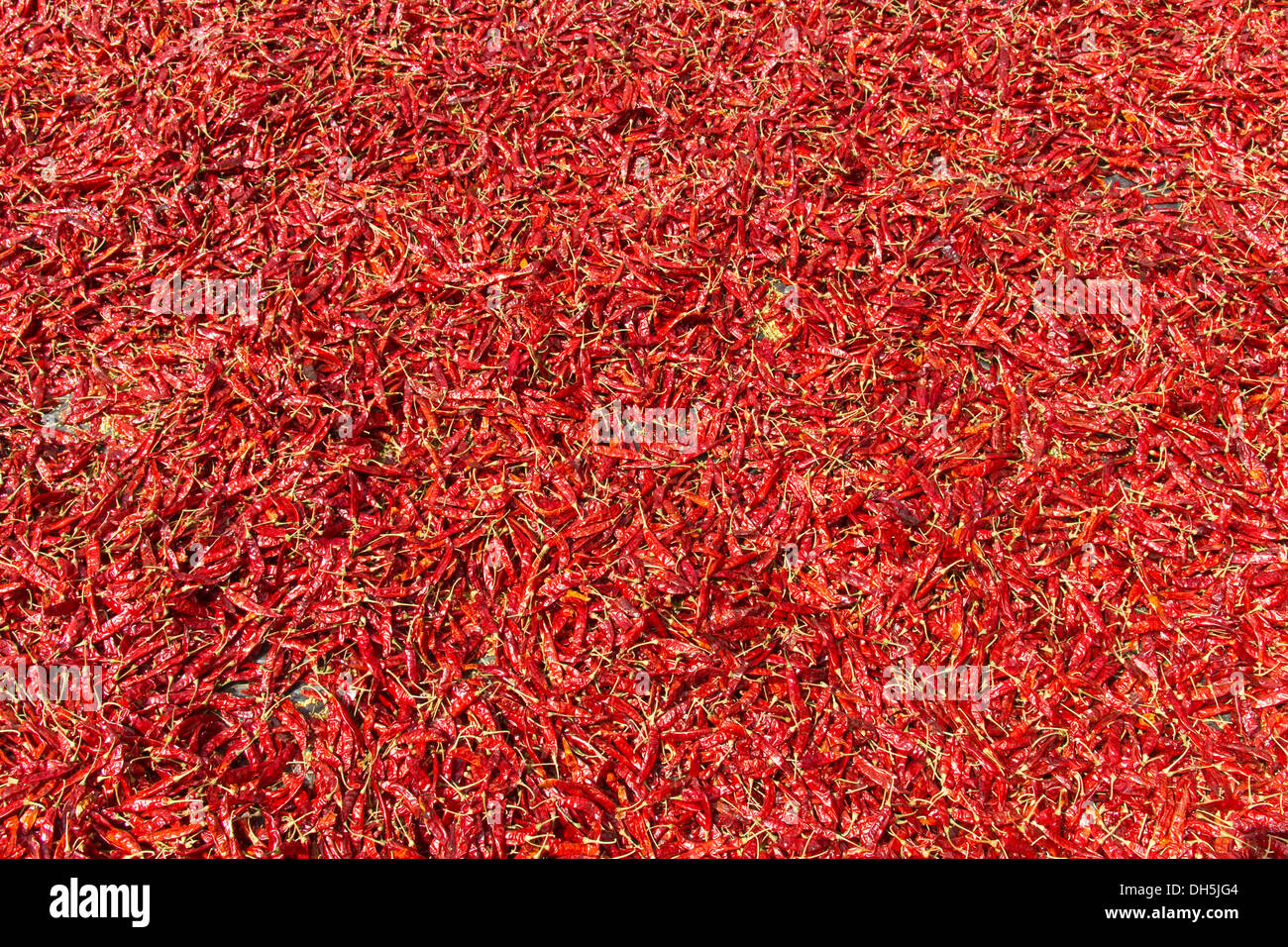 Capsicum frutescens hires stock photography and images Alamy