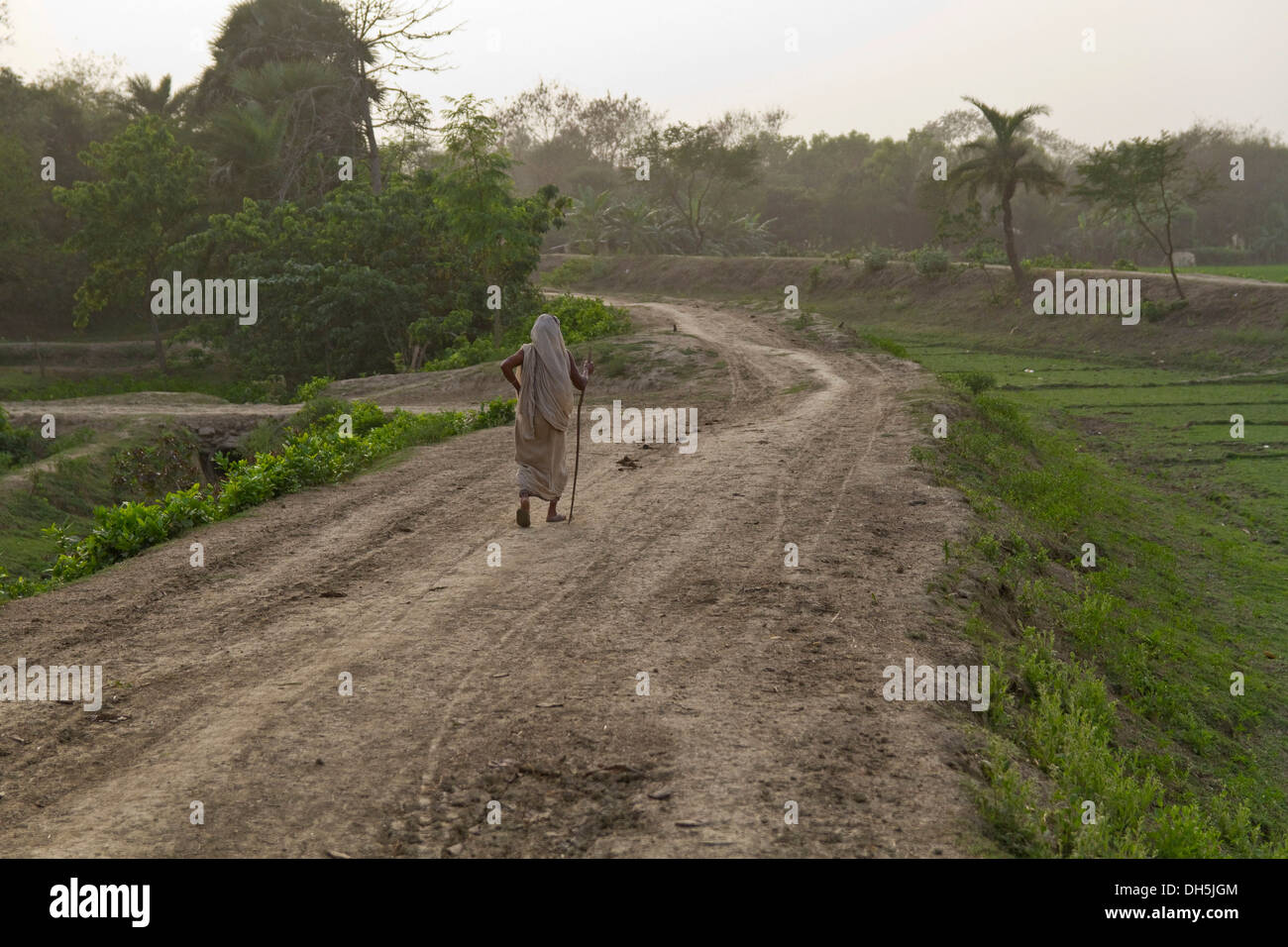 Old woman with a walking stick walking along a dirt road in the evening light, Magura, Khulna District, Bangladesh, South Asia Stock Photo