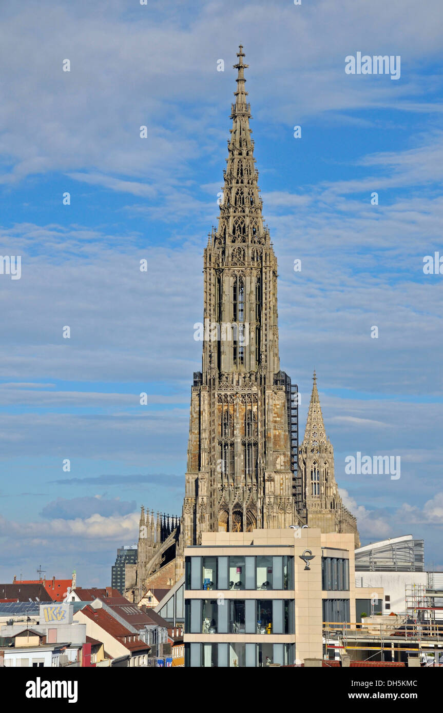 Ulm Minster, the steeple measuring 161.53 meters is the tallest church tower in the world, Aerztehaus building in front of it Stock Photo