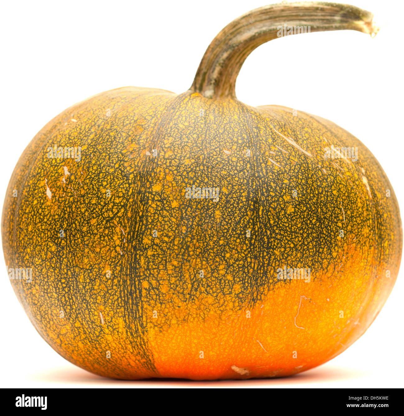 orange and green pumpkin isolated Stock Photo