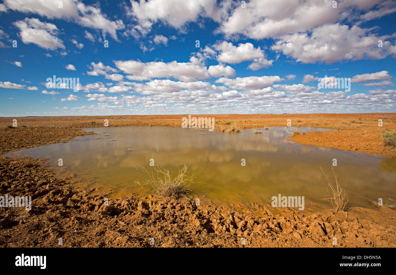 Australian outback treeless plains after rain - pool of water in barren landscape under blue sky near Woomera northern South Australia Stock Photo