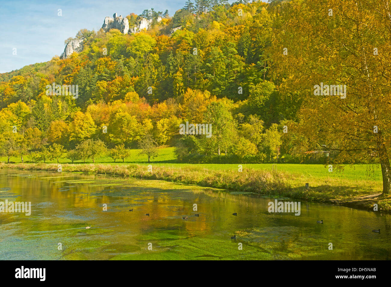 Blau river and the Blautal valley, Hohengerhausen castle ruin or Rusenschloss castle ruin at the back, situated on a hill above Stock Photo